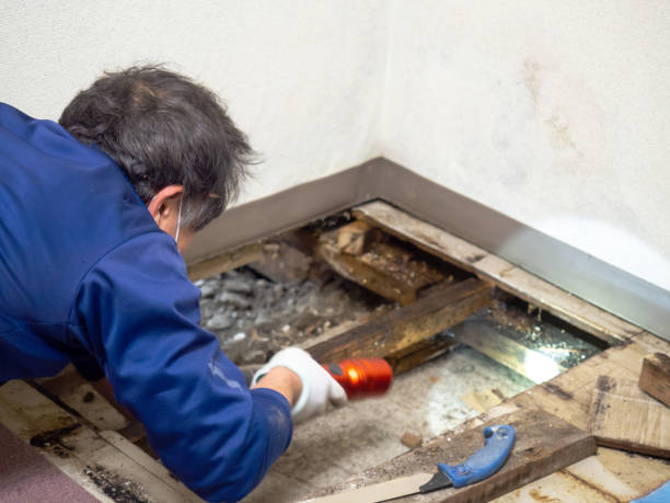 Best Post-Remediation Services in Morn, GA